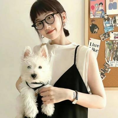 功夫兔与菜包狗第一季